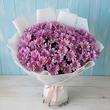 Букет цветов из:  Хризантемы #REPLACE_PRED# Константиновский