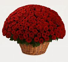 Премиум букет из: Розы в Константиновский